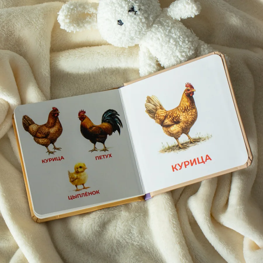 Разворот книжки «Домашние животные»
